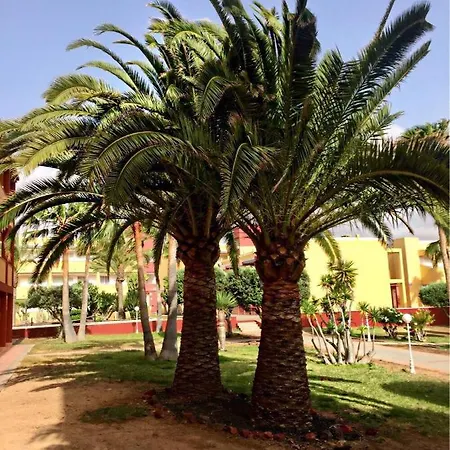 Apartment Pax Et Bonum Parque Holandes